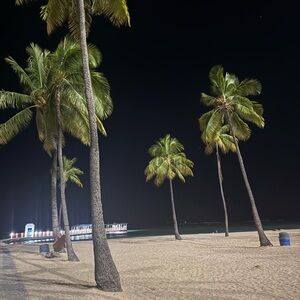 Meet your Posher, Alena